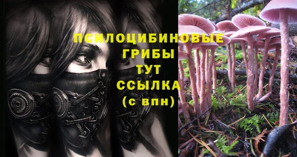 молекула духа Абинск
