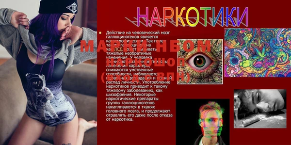 молекула духа Абинск