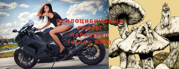 молекула духа Абинск